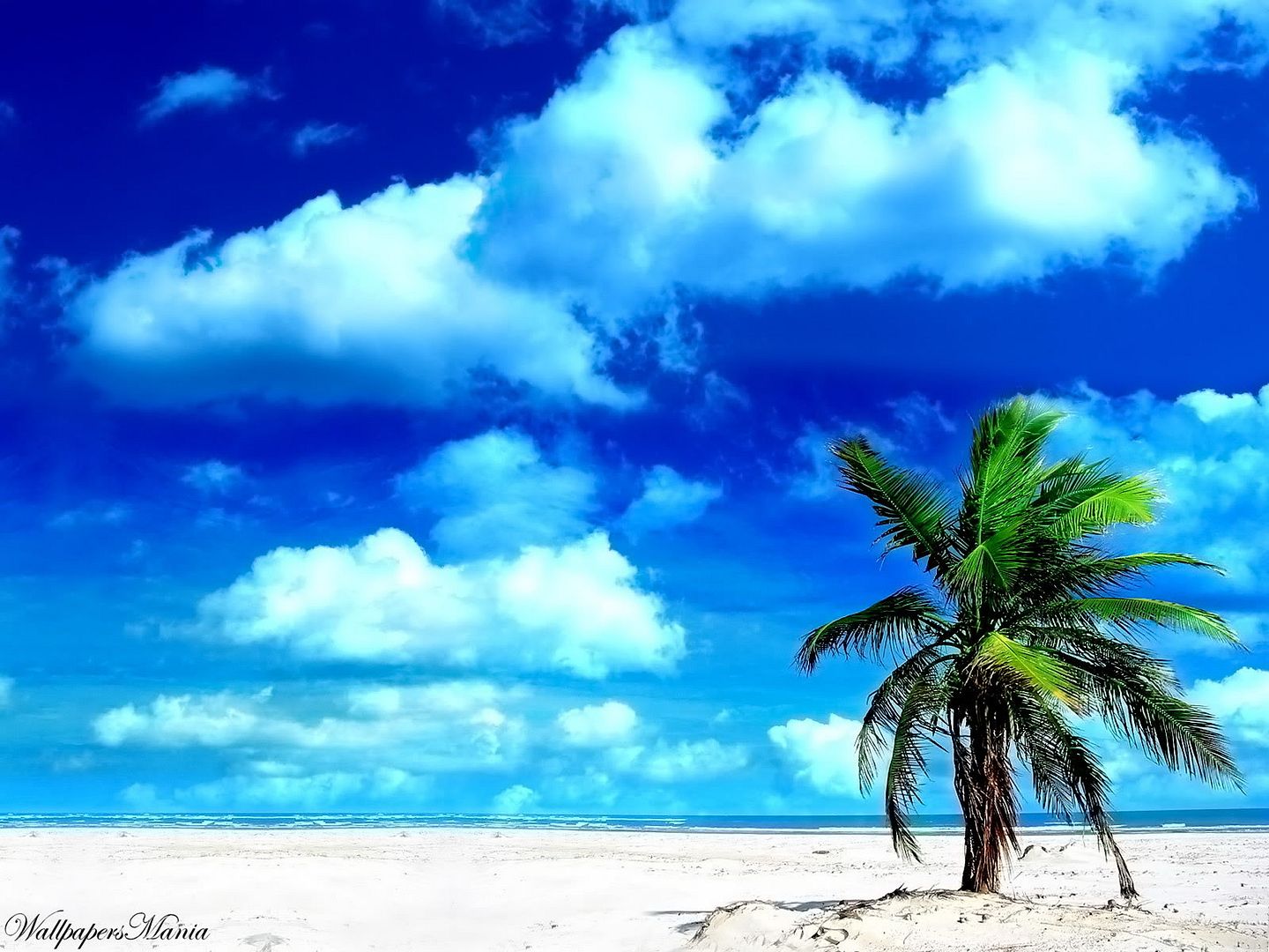 WallpapersMania_vol30-017.jpg