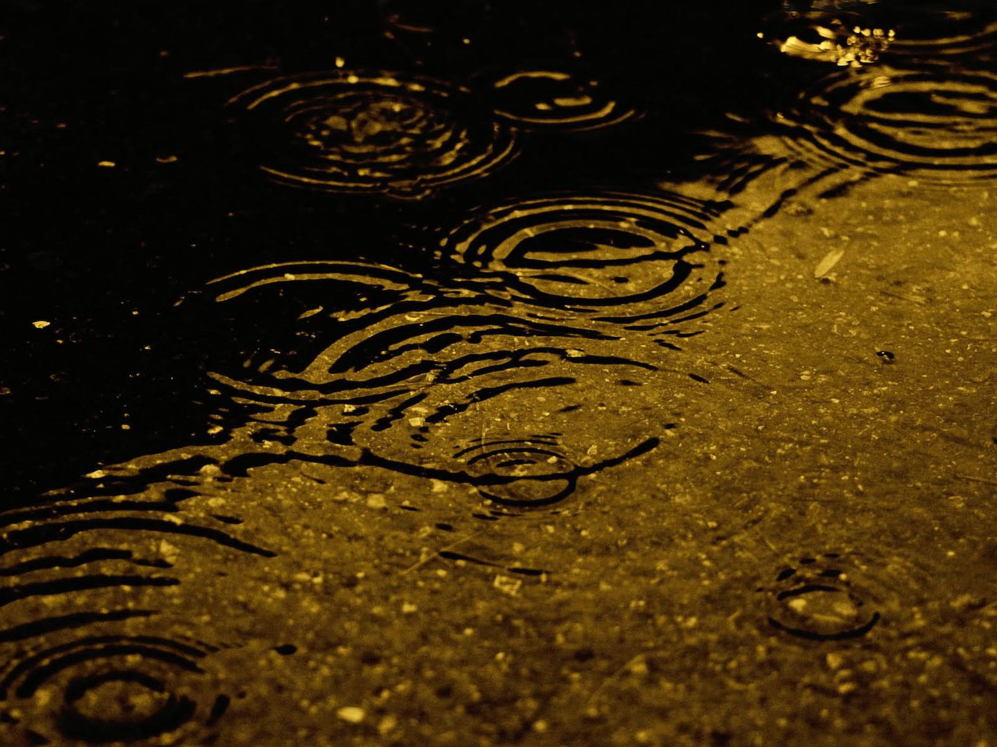 WallpapersMania_vol30-029.jpg