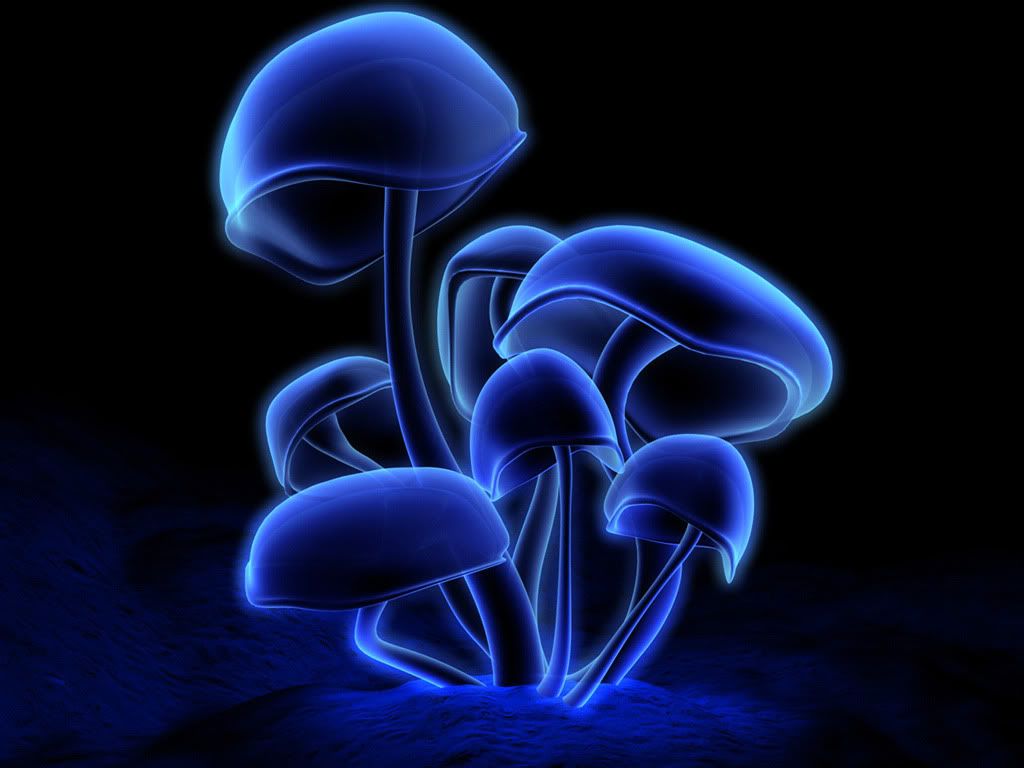 wallp_24.jpg