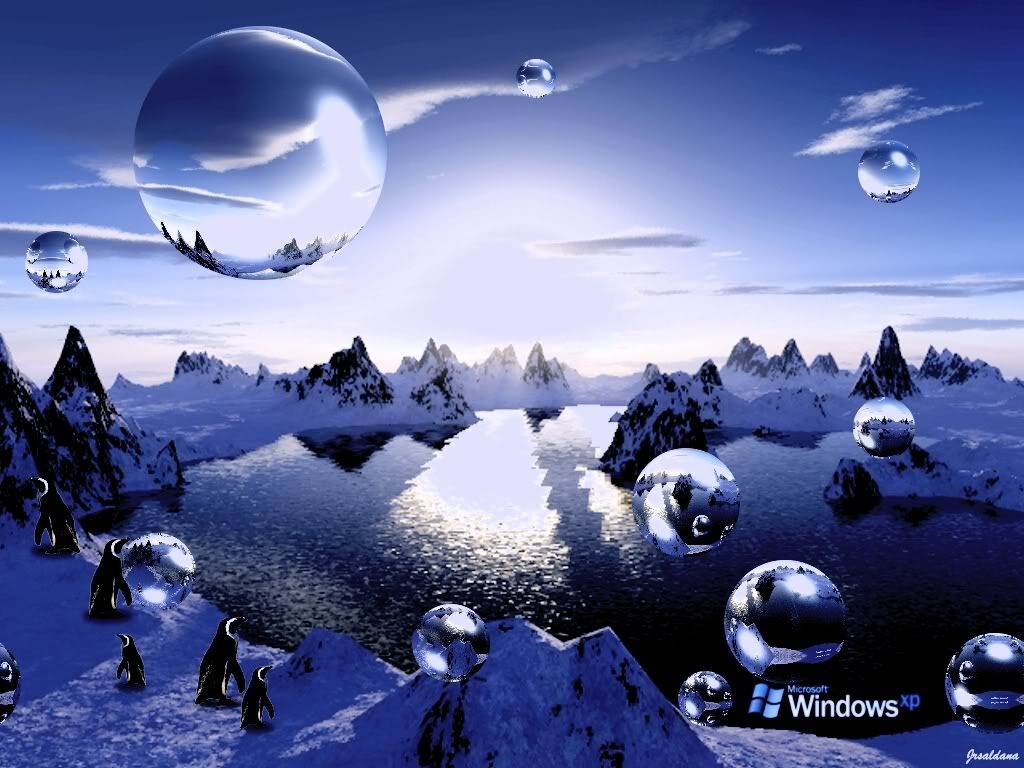 winterterr2.jpg