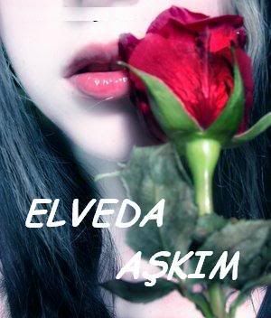 elvedaba8.jpg