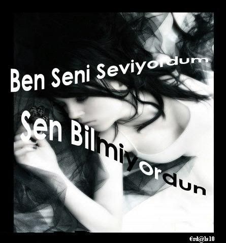 erdal1.jpg