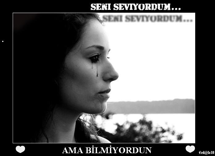 erdal2.jpg
