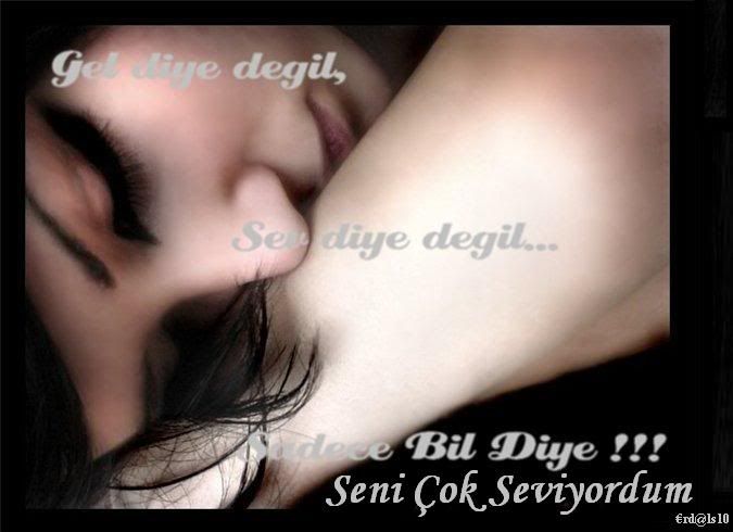 erdal3.jpg