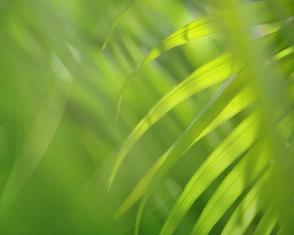 304893228_d5643876c4_o.jpg