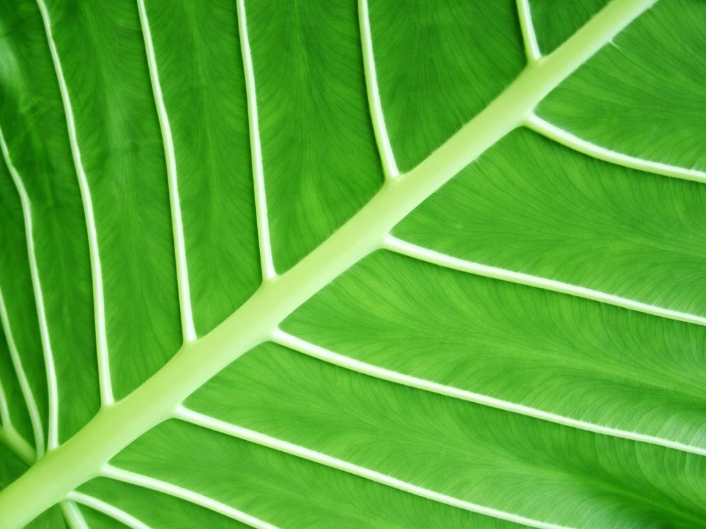 304894618_27a9f1b712_o.jpg