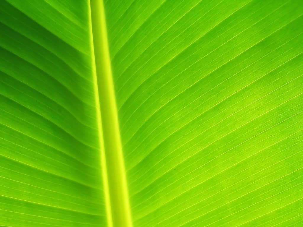 304895150_24fedd587c_o.jpg