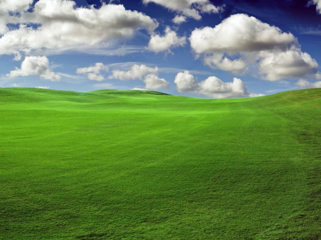 304896667_40d7582f4e_o.jpg