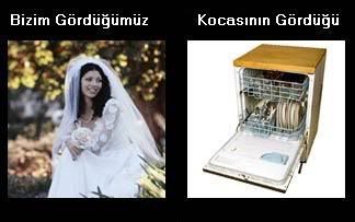 5qr5xt5.jpg