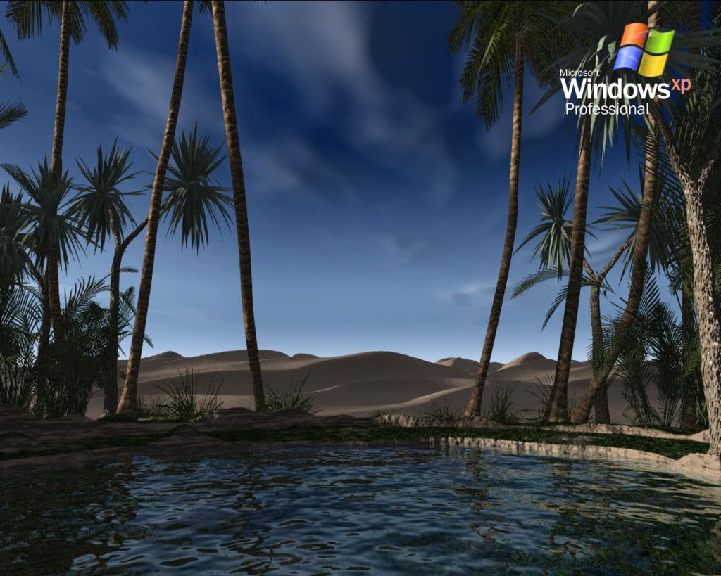 gallery251131735tb.jpg