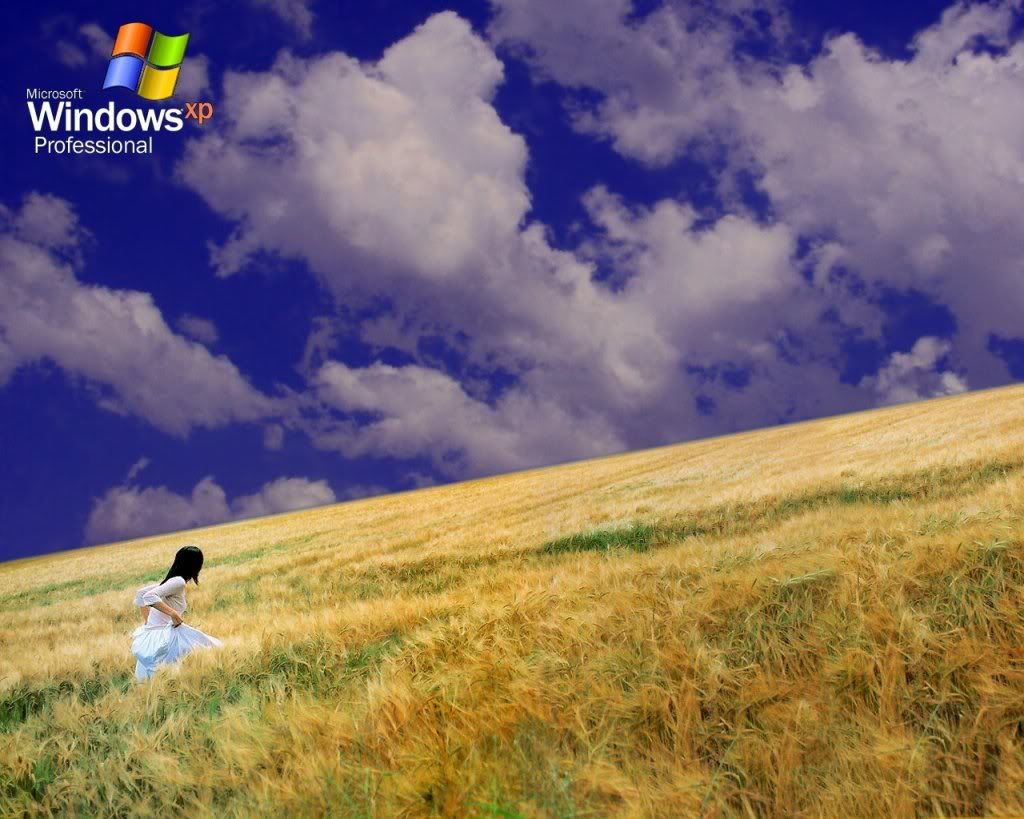 gallery251404600dh.jpg