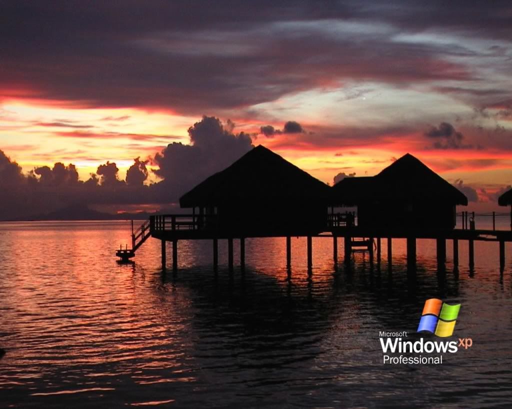 gallery25999035lg.jpg