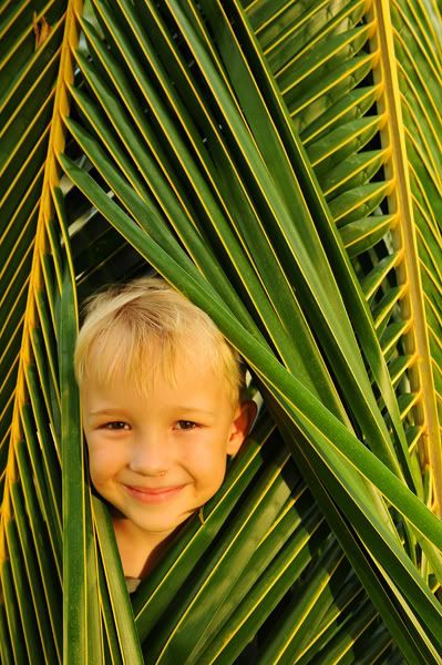 living_sunshine_by_renegade150.jpg