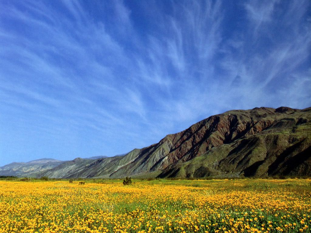 California-BorregoValley.jpg