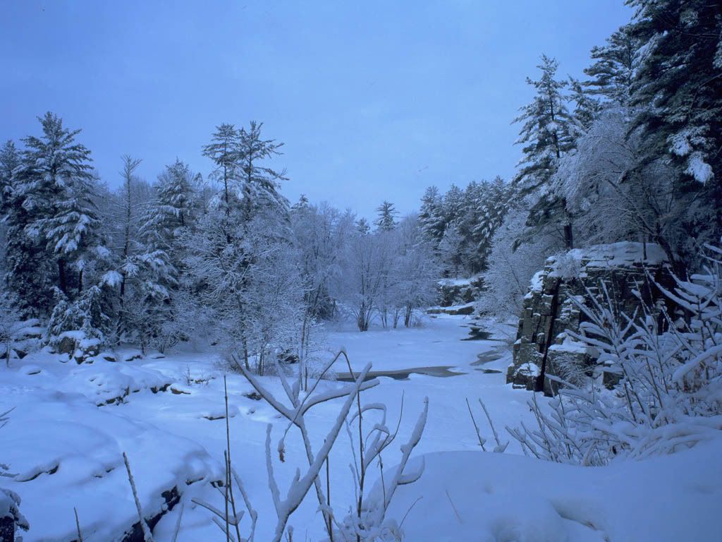LonelyWinter.jpg