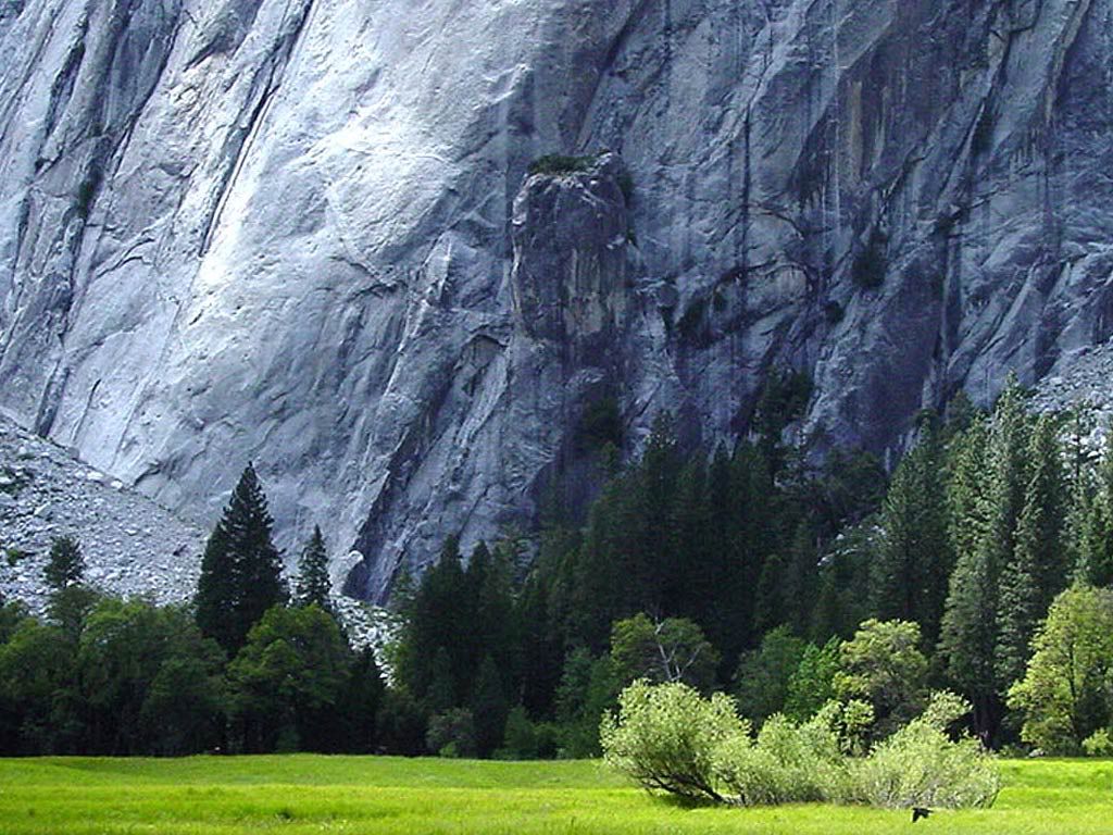 RockFace.jpg