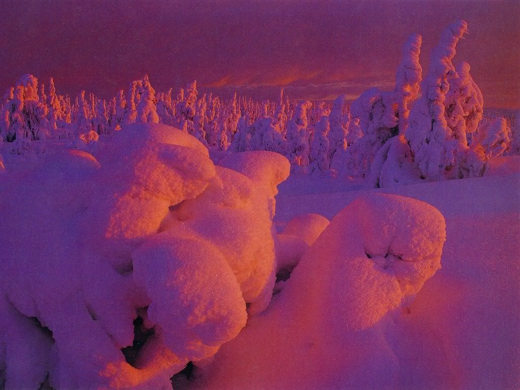 SnowatSunset.jpg