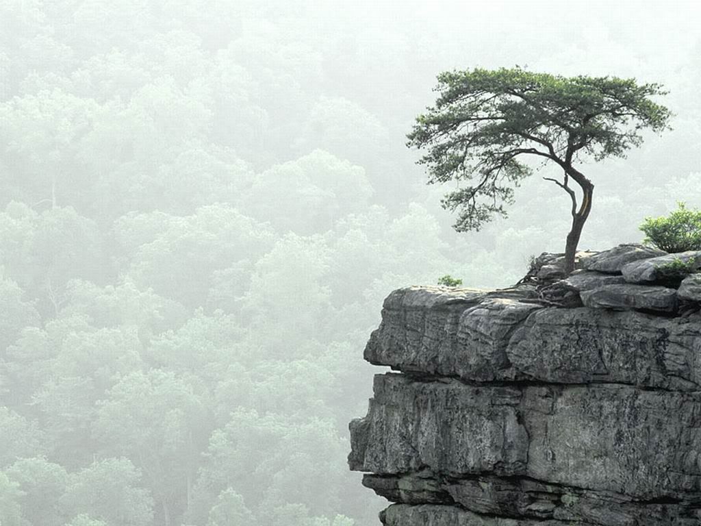 TheCliffEnd.jpg