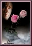 TCH6076Roses-Posters.jpg image by grandmayoder