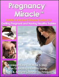 Pregnancy Miracle Ebook2