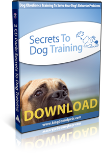 Secrets to successful Dog Training