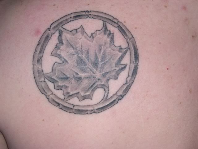 japanese maple tree leaf. japanese maple tree tattoo.