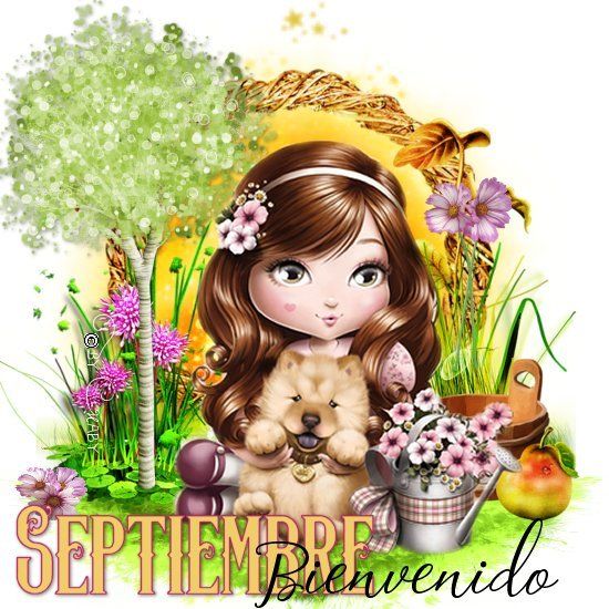  photo reto font 17 septiembre.jpg