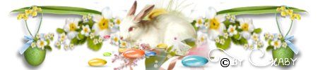  photo tag reto pack11 2017 time rabbit sepa.jpg