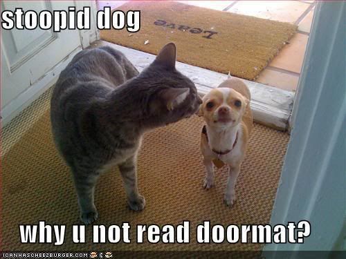 funny doormats. funny-pictures-cat-dog-doormat
