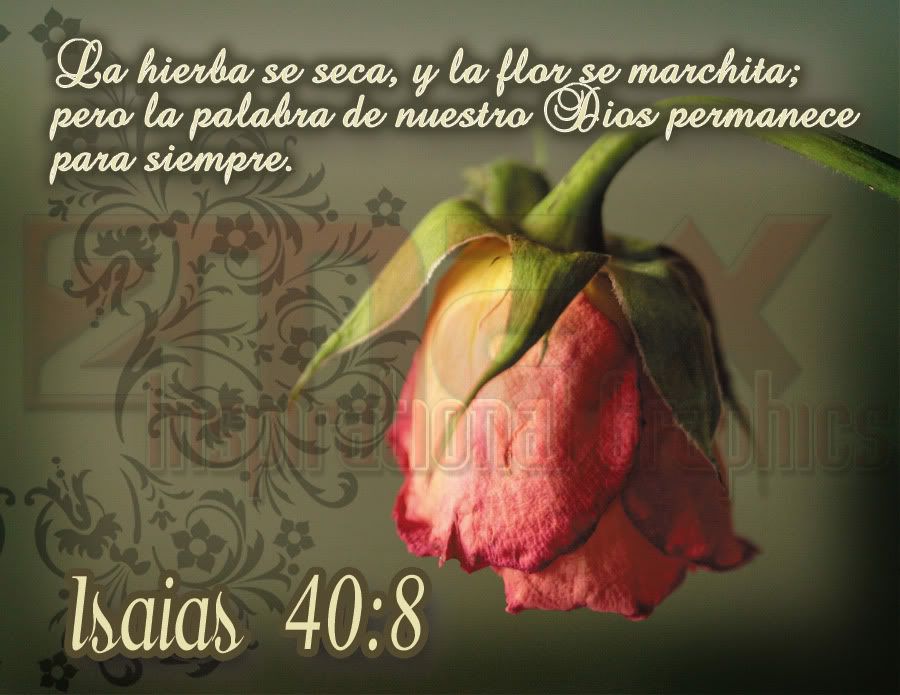 la-palabra-Isaias-40-8.jpg Isaias 40:8 La palabra image by 2max_inspirational