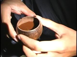 ayahuasca-cup.jpg picture by Amaliagg