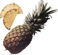 anana2-1.gif picture by Amaliagg
