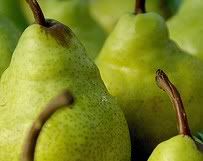 pera.jpg picture by Amaliagg