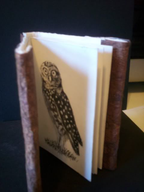 owl book 2