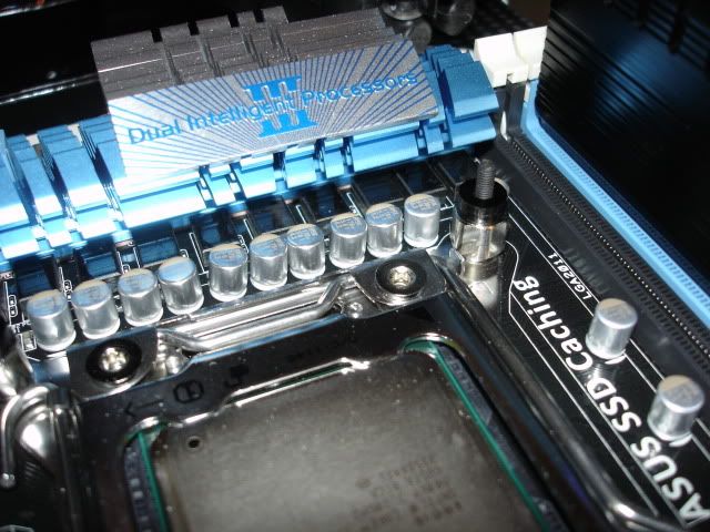 DSC00853.jpg