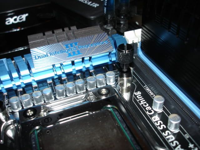 DSC00854.jpg