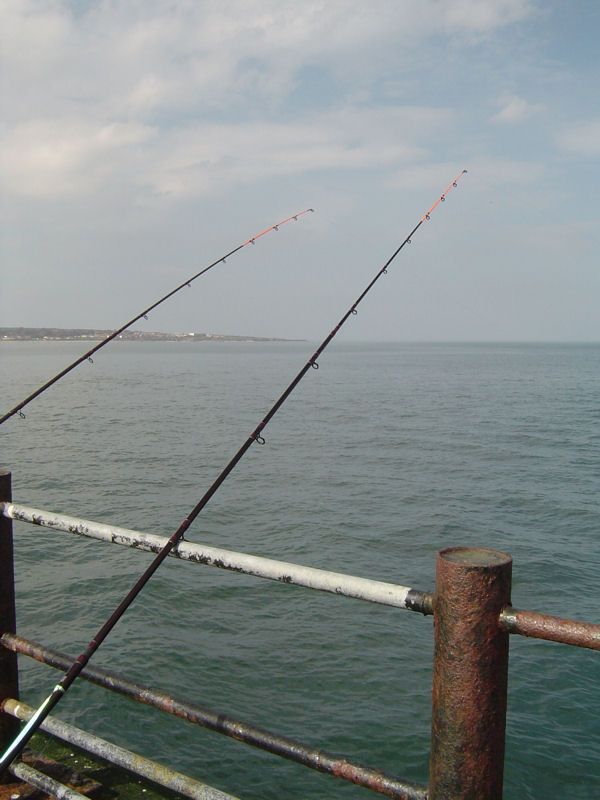 DSC09747_zps1f7be983.jpg