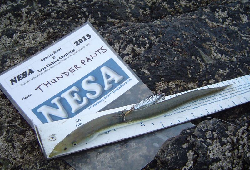 NESASandeelLure_zpsbf52bfe8.jpg