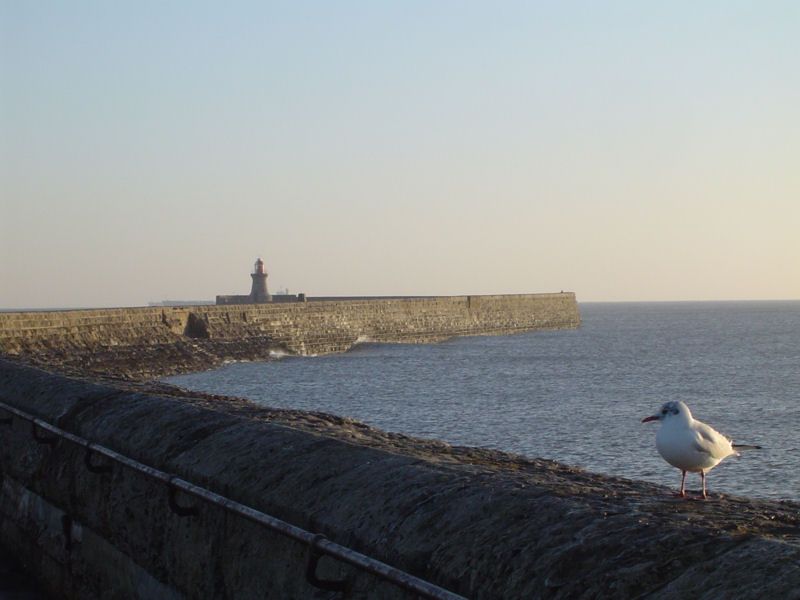 pier020313e_zps85a43bd1.jpg