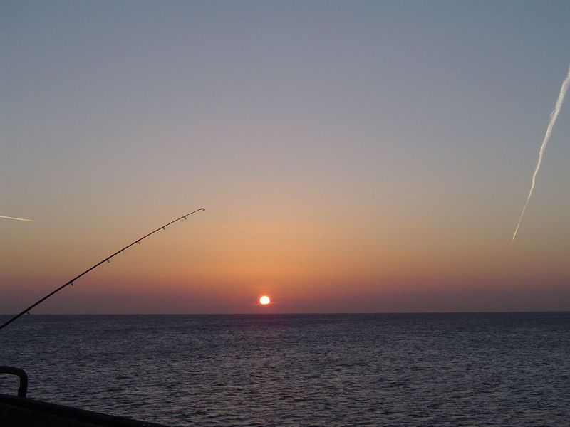 pier020313f_zps438e18d8.jpg