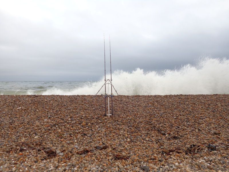 seaton2_zpsd7951432.jpg