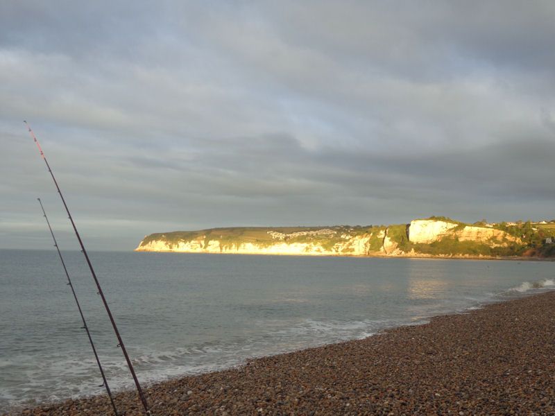 seaton_zps511ded5b.jpg