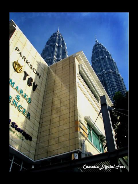 IMAGE: http://i284.photobucket.com/albums/ll9/camelia_fotog/CopyofIMG_4771copy.jpg