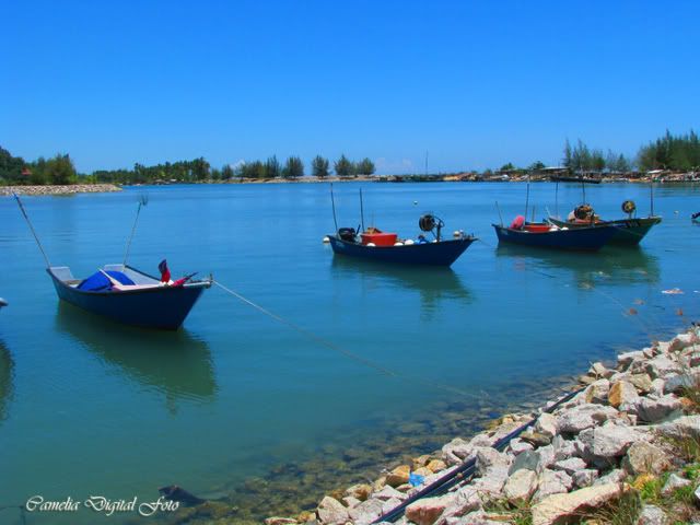 IMAGE: http://i284.photobucket.com/albums/ll9/camelia_fotog/IMG_2806copy.jpg