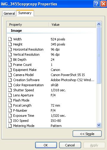 IMAGE: http://i284.photobucket.com/albums/ll9/camelia_fotog/Untitled-1-1.jpg