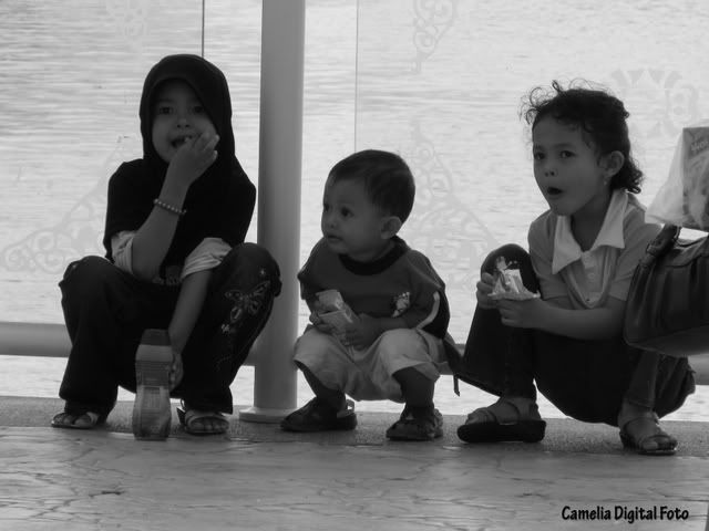 IMAGE: http://i284.photobucket.com/albums/ll9/camelia_fotog/Untitled-1-2.jpg