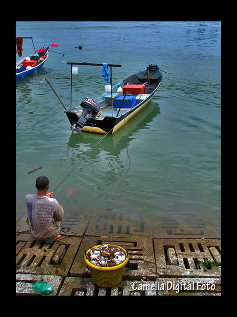 IMAGE: http://i284.photobucket.com/albums/ll9/camelia_fotog/efef.jpg