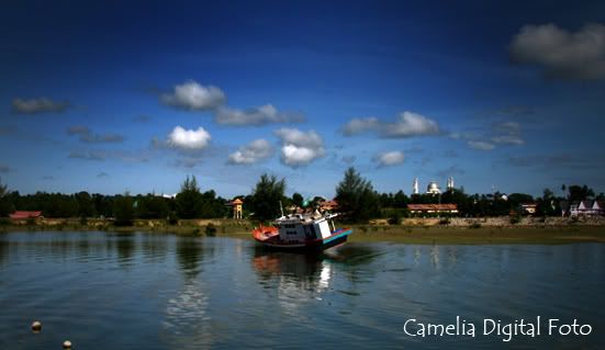 IMAGE: http://i284.photobucket.com/albums/ll9/camelia_fotog/tranungkitee.jpg