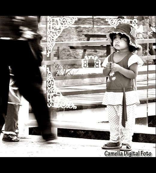 IMAGE: http://i284.photobucket.com/albums/ll9/camelia_fotog/yer.jpg