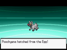 [PokeCommunity.com] GT11 Pokemon Challenge